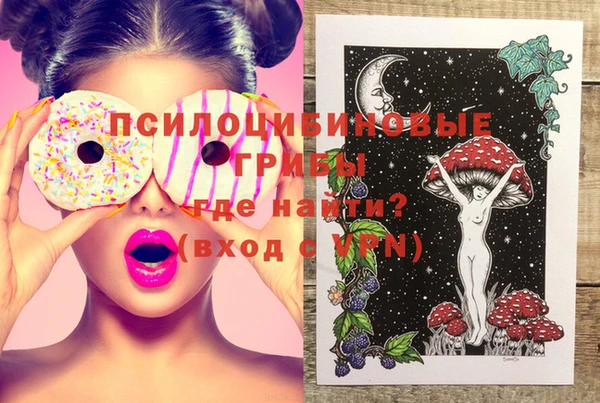 синтетический гашиш Алексин