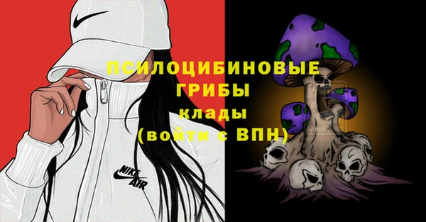синтетический гашиш Алексин