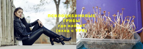 синтетический гашиш Алексин