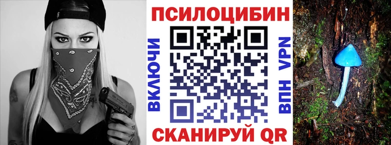 blacksprut сайт  мориарти официальный сайт  Псилоцибиновые грибы Cubensis  Амурск 