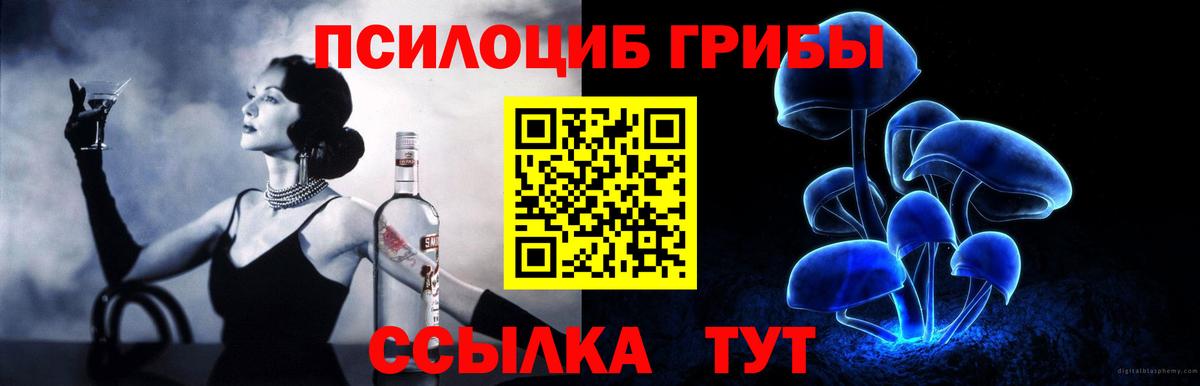 где купить   Вход с VPN  Амурск  Галлюциногенные грибы Cubensis 